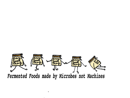 What kind of fermenter are you?