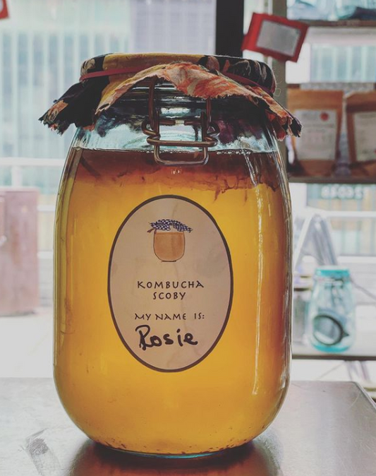 How to make + manage kombucha