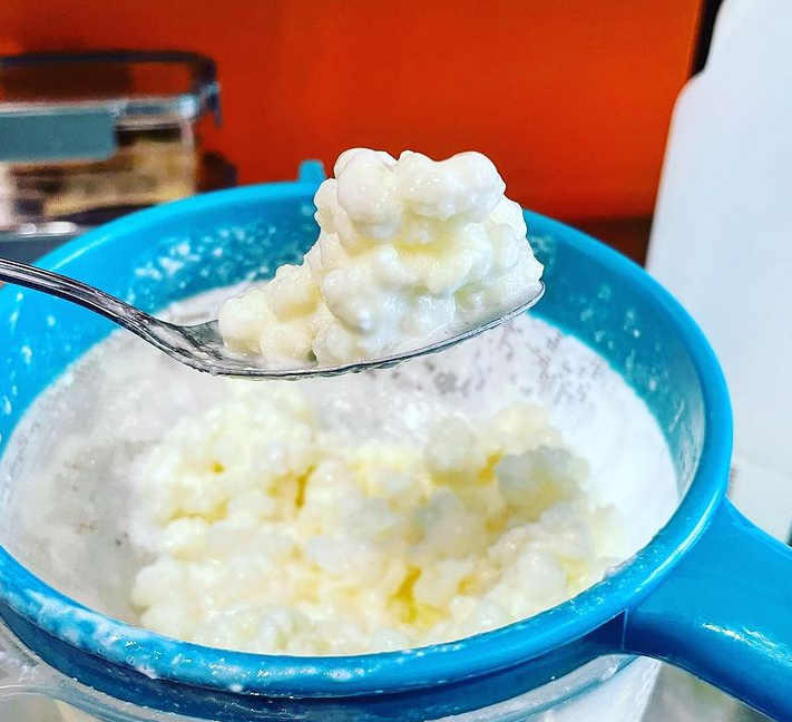 Kefir Sample Collection Collections – Every Good Thing